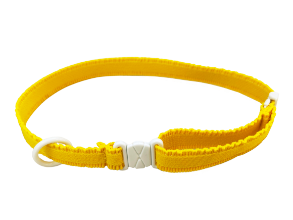 BONBONGyut! 見本詳細２