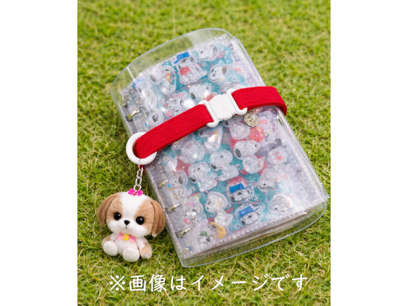 BONBONGyut! 見本詳細４